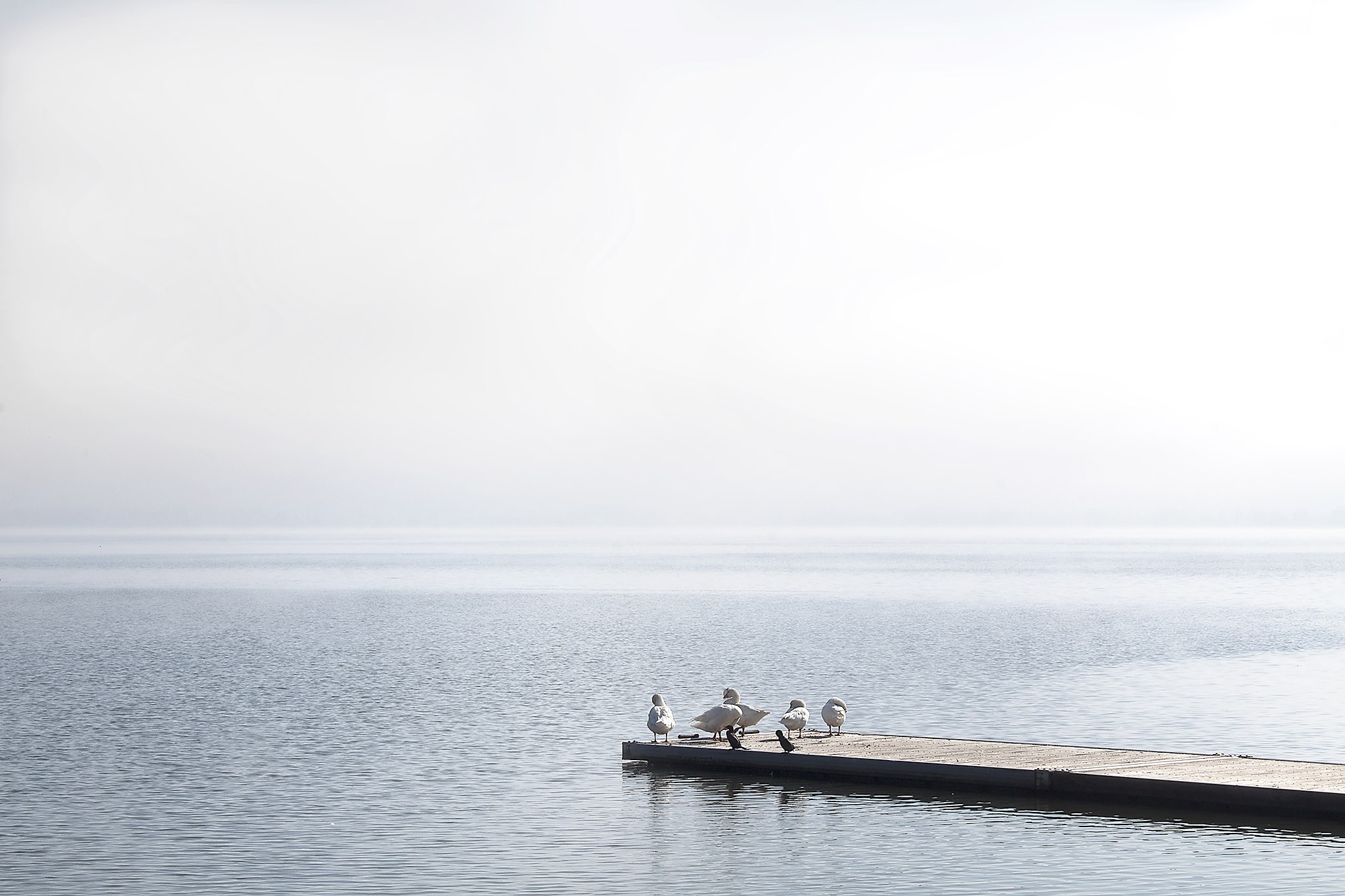 Lake photography